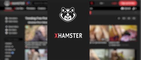 50 sites like xhamster|All the best places to click on when you want to get off